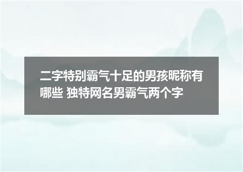 二字特别霸气十足的男孩昵称有哪些 独特网名男霸气两个字