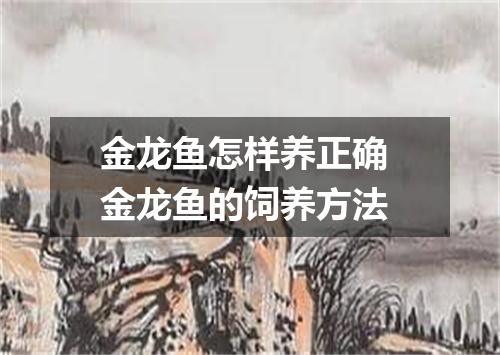 金龙鱼怎样养正确 金龙鱼的饲养方法
