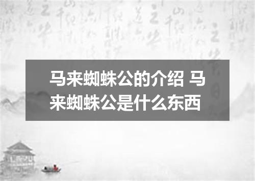 马来蜘蛛公的介绍 马来蜘蛛公是什么东西