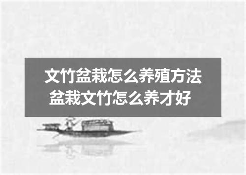 文竹盆栽怎么养殖方法 盆栽文竹怎么养才好