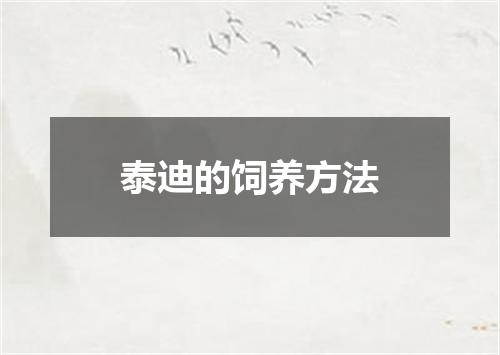 泰迪的饲养方法