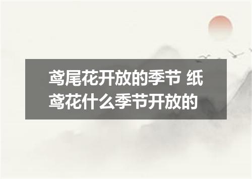鸢尾花开放的季节 纸鸢花什么季节开放的