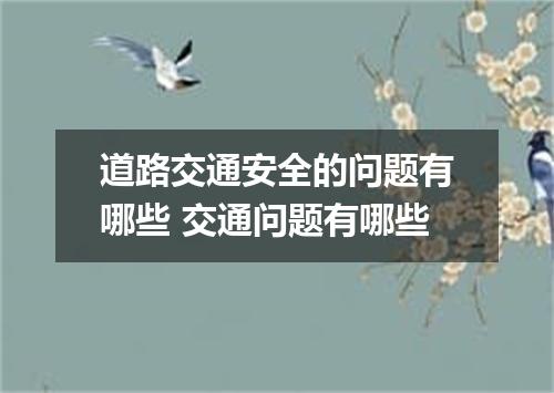 道路交通安全的问题有哪些 交通问题有哪些