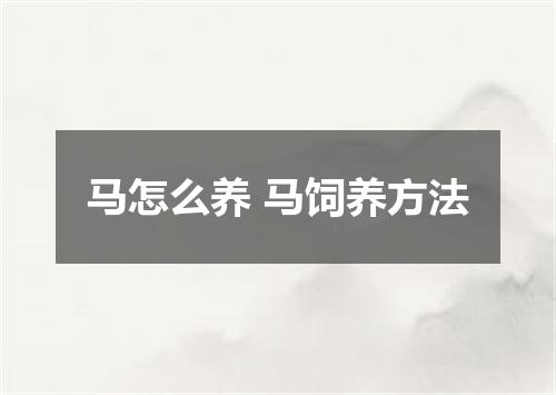 马怎么养 马饲养方法