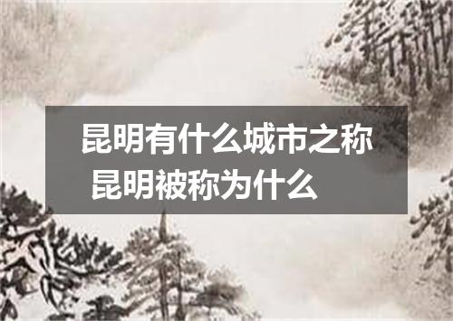 昆明有什么城市之称 昆明被称为什么