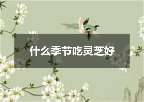 什么季节吃灵芝好