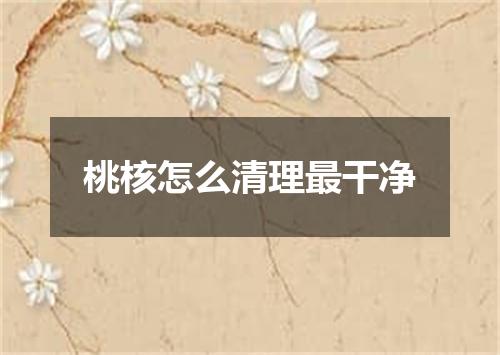 桃核怎么清理最干净