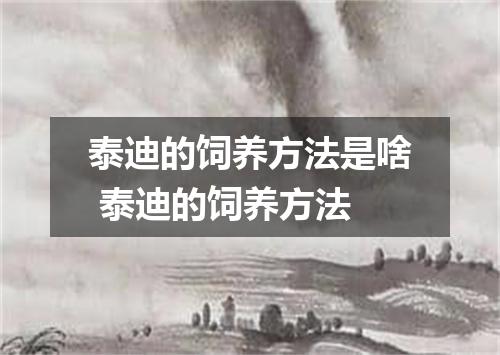 泰迪的饲养方法是啥 泰迪的饲养方法