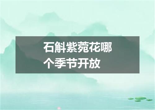 石斛紫菀花哪个季节开放