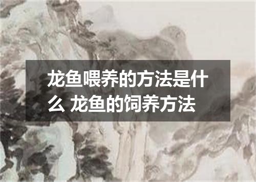 龙鱼喂养的方法是什么 龙鱼的饲养方法