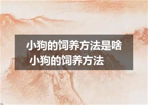小狗的饲养方法是啥 小狗的饲养方法