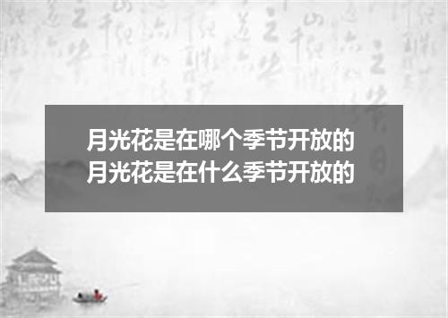 月光花是在哪个季节开放的 月光花是在什么季节开放的