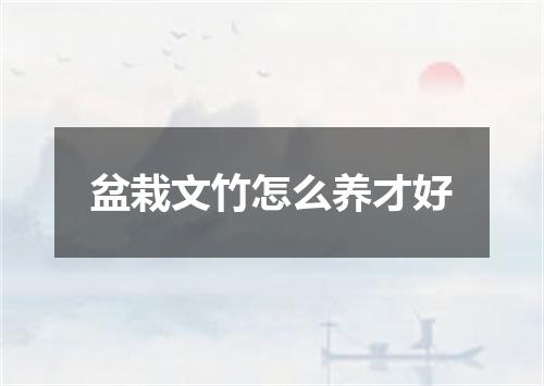 盆栽文竹怎么养才好