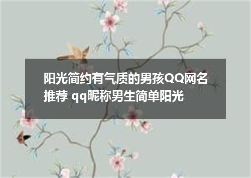 阳光简约有气质的男孩QQ网名推荐 qq昵称男生简单阳光