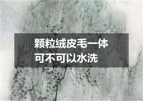 颗粒绒皮毛一体可不可以水洗