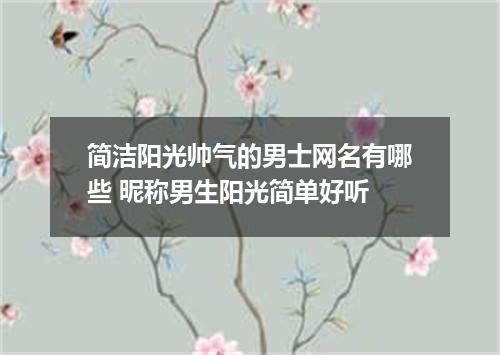 简洁阳光帅气的男士网名有哪些 昵称男生阳光简单好听