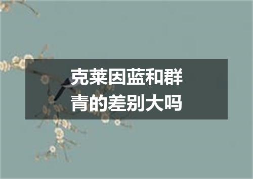 克莱因蓝和群青的差别大吗