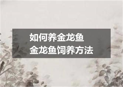 如何养金龙鱼 金龙鱼饲养方法