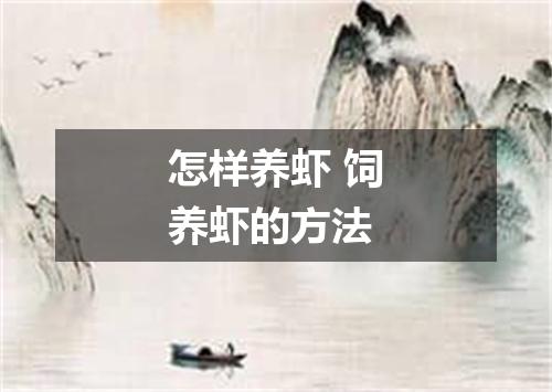 怎样养虾 饲养虾的方法