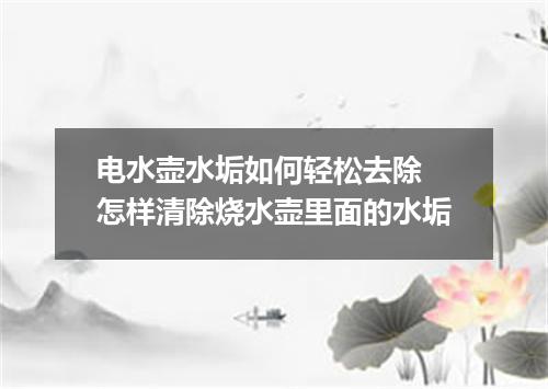 电水壶水垢如何轻松去除 怎样清除烧水壶里面的水垢