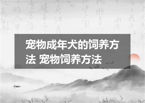 宠物成年犬的饲养方法 宠物饲养方法