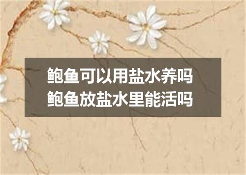 鲍鱼可以用盐水养吗 鲍鱼放盐水里能活吗