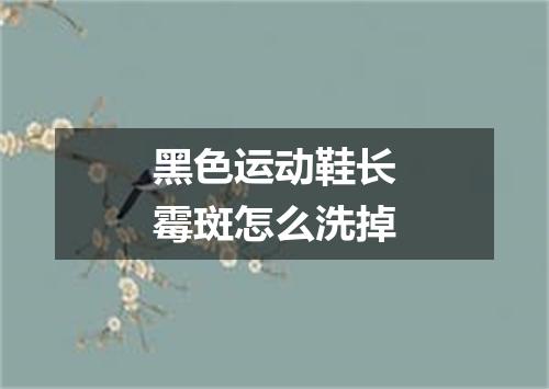 黑色运动鞋长霉斑怎么洗掉