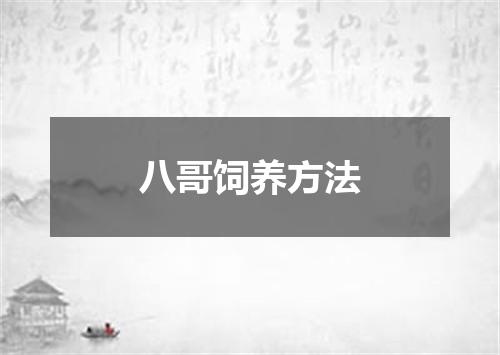 八哥饲养方法