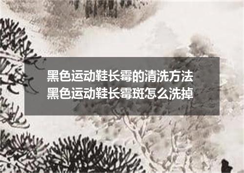 黑色运动鞋长霉的清洗方法 黑色运动鞋长霉斑怎么洗掉