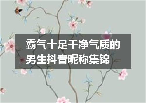 霸气十足干净气质的男生抖音昵称集锦