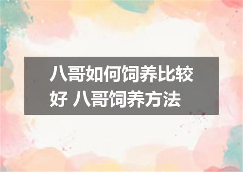 八哥如何饲养比较好 八哥饲养方法