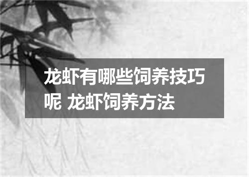 龙虾有哪些饲养技巧呢 龙虾饲养方法