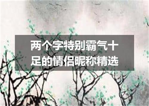 两个字特别霸气十足的情侣昵称精选