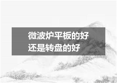 微波炉平板的好还是转盘的好