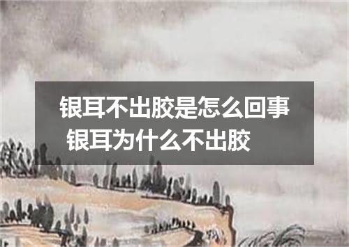 银耳不出胶是怎么回事 银耳为什么不出胶