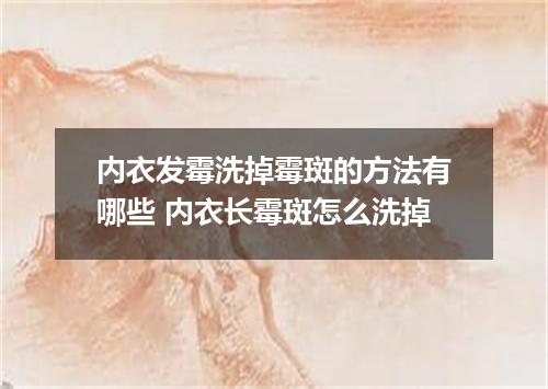 内衣发霉洗掉霉斑的方法有哪些 内衣长霉斑怎么洗掉