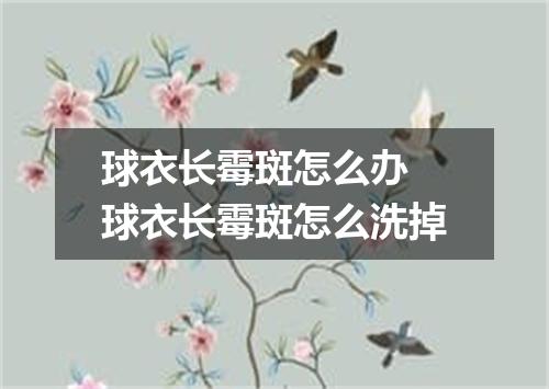 球衣长霉斑怎么办 球衣长霉斑怎么洗掉