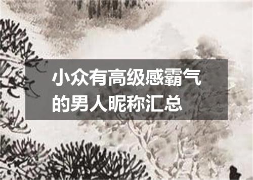 小众有高级感霸气的男人昵称汇总