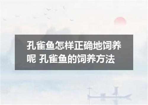 孔雀鱼怎样正确地饲养呢 孔雀鱼的饲养方法
