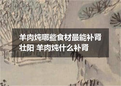 羊肉炖哪些食材最能补肾壮阳 羊肉炖什么补肾