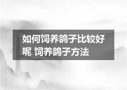 如何饲养鸽子比较好呢 饲养鸽子方法