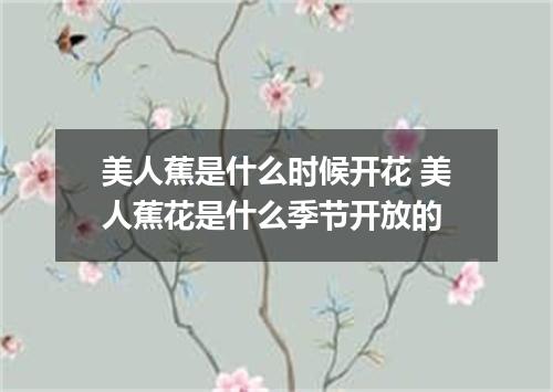 美人蕉是什么时候开花 美人蕉花是什么季节开放的