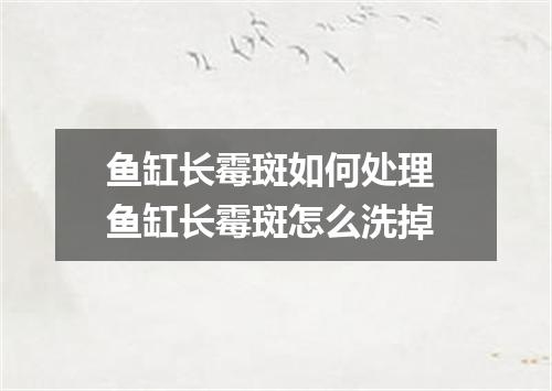 鱼缸长霉斑如何处理 鱼缸长霉斑怎么洗掉