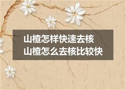 山楂怎样快速去核 山楂怎么去核比较快