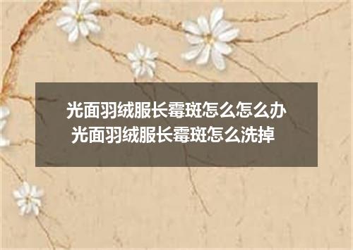 光面羽绒服长霉斑怎么怎么办 光面羽绒服长霉斑怎么洗掉