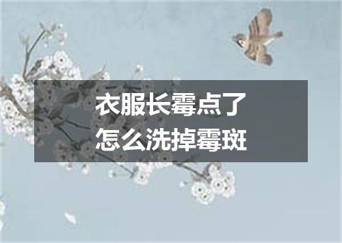 衣服长霉点了怎么洗掉霉斑