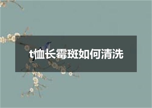 t恤长霉斑如何清洗