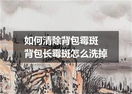 如何清除背包霉斑 背包长霉斑怎么洗掉