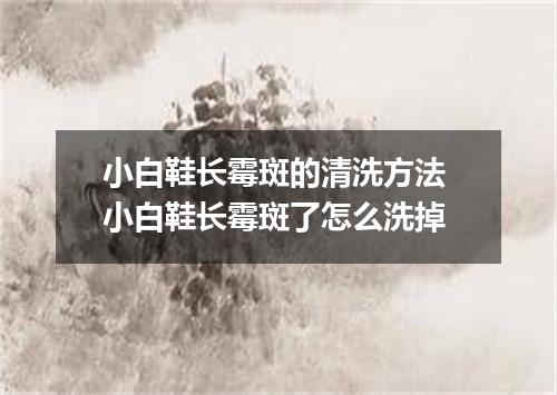 小白鞋长霉斑的清洗方法 小白鞋长霉斑了怎么洗掉