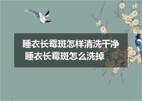 睡衣长霉斑怎样清洗干净 睡衣长霉斑怎么洗掉